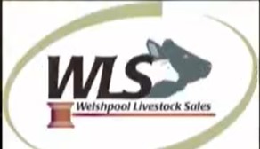 Welshpool Logo