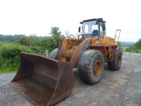 1 Samung Sl250~2 Loading Shovel