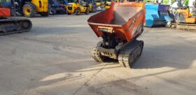 0.5T/500kgs Dumper Cormidi C55 2021 full