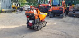 0.5T/500kgs Dumper Cormidi C55 2021 full