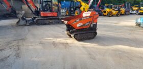 0.5T/500kgs Dumper Cormidi C55 2021 full
